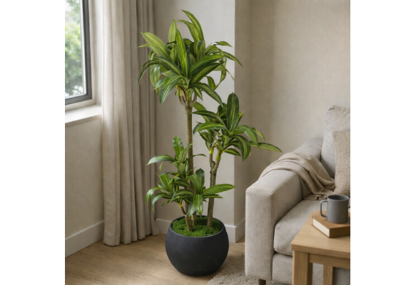 Yapay Masengena Ağacı 3 Gövdeli 160 cm